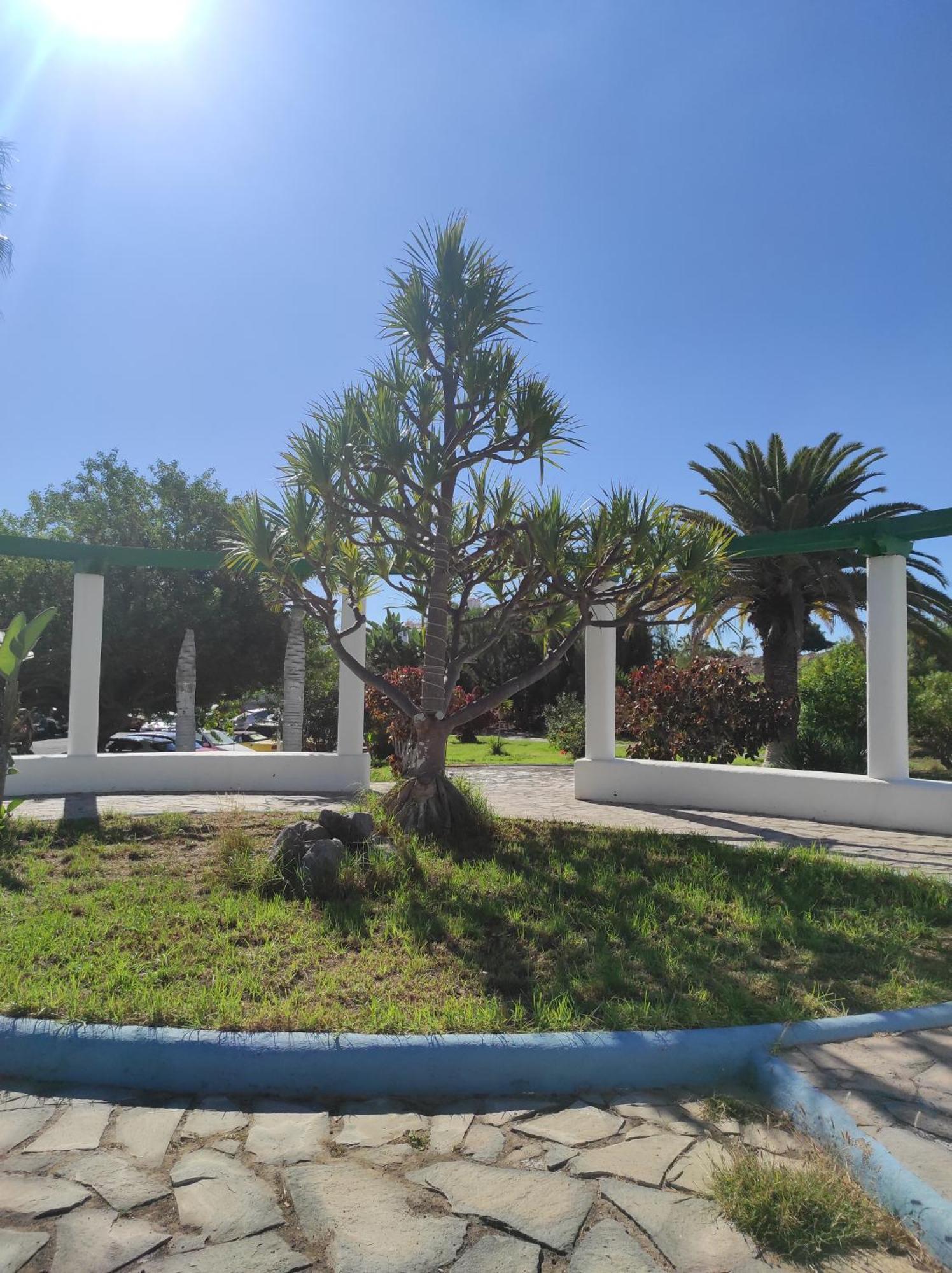 Maria Luxury Apartament Golf Del Sur Tenerife San Miguel de Abona Eksteriør billede